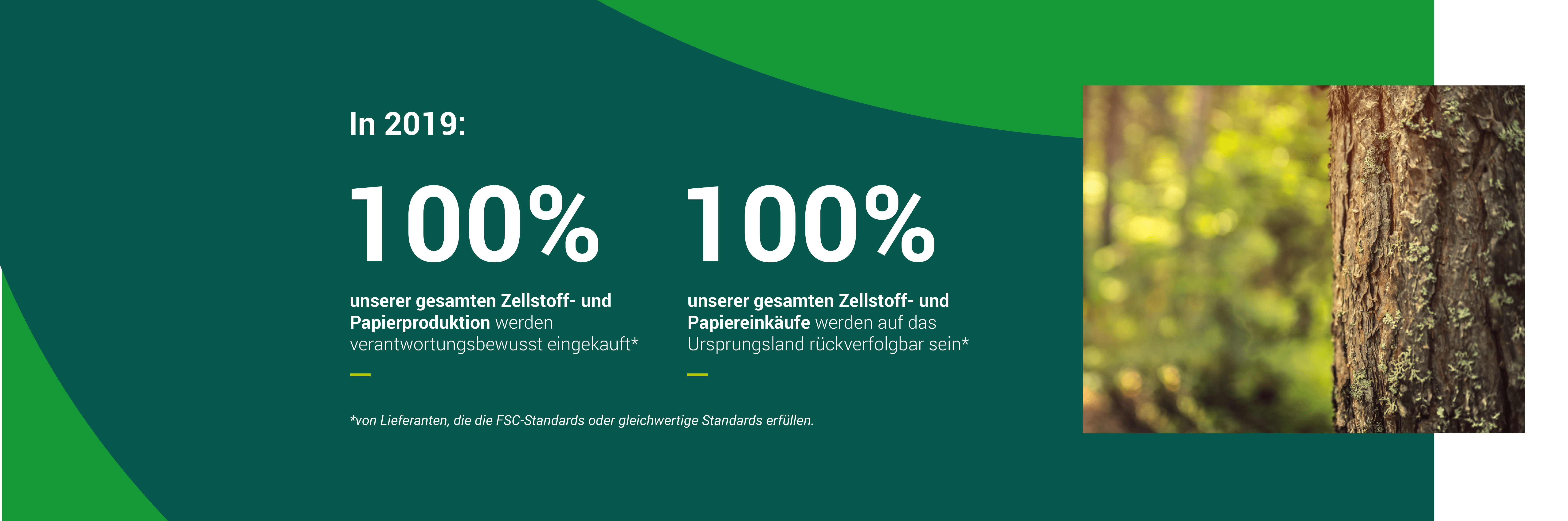 Zelfstoff und papiereninkaufe