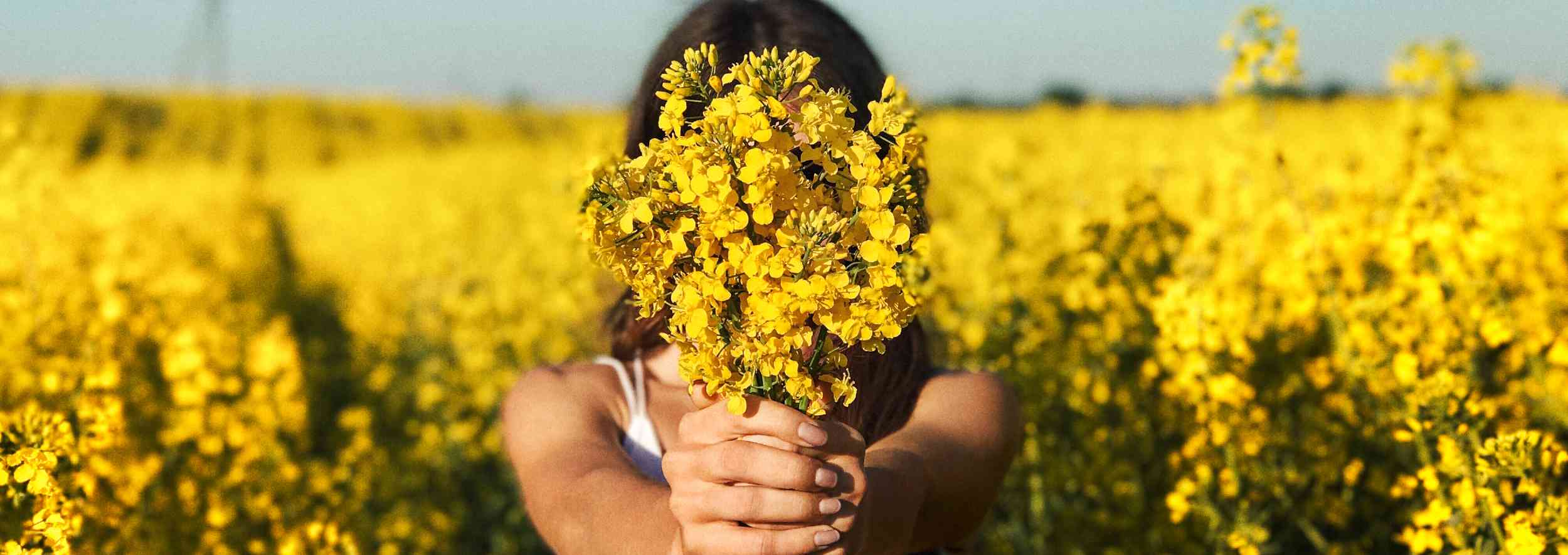 Flower field